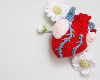 3D Anatomical Heart Amigurumi