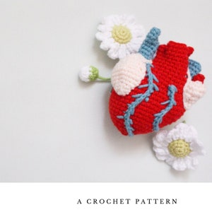 3D Anatomical Heart Amigurumi