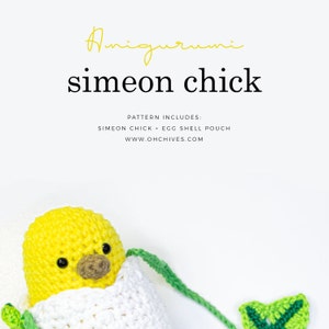 Simeon Chick Amigurumi Set