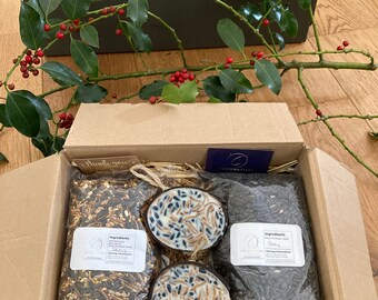 Small bird feeder gift box