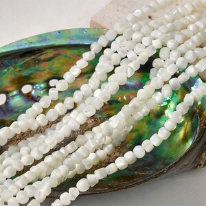 May include: A strand of white shell beads with a square shape. The beads are strung on a white cord and are displayed on a green and iridescent abalone shell.
