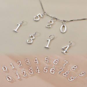 May include: A collection of silver-colored number charms, including the numbers 0 through 9. Some charms are attached to a silver chain necklace. The charms are small and have a polished finish. The background is a neutral beige color.