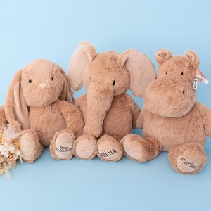 Kuscheltier mit Namen, Kuscheltier personalisiert, Babygeschenke, Geburt, Baby, Stofftier mit Name, Taufe Geschenk, Plüschtier