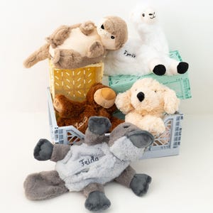 Puede incluir: Una colección de peluches de animales, incluyendo una nutria, una llama, un oso, un perro y un pato, dispuestos en y alrededor de cajas de plástico de colores. Los juguetes son de varios tonos de marrón, blanco y gris, con nombres bordados.