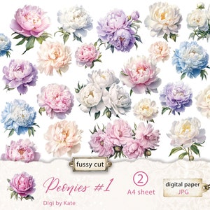 Peonies #1 Fussy Cut, A4 JPG Printable, Peonies Elements, Peonies Print and Cut Digital Elements, Shabby Flowers Journal Fussy Cut