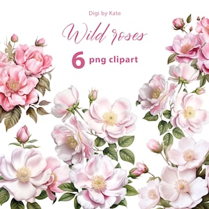 Rosas Selvagens 6 PNG Clipart - Flores Rosas em Fundo Transparente