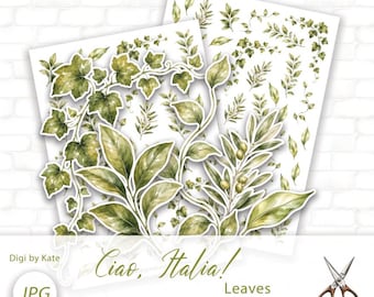 Ciao Italia Leaves Fussy Cut on 2 A4 JPG Pages for Journaling and Scrapbooking