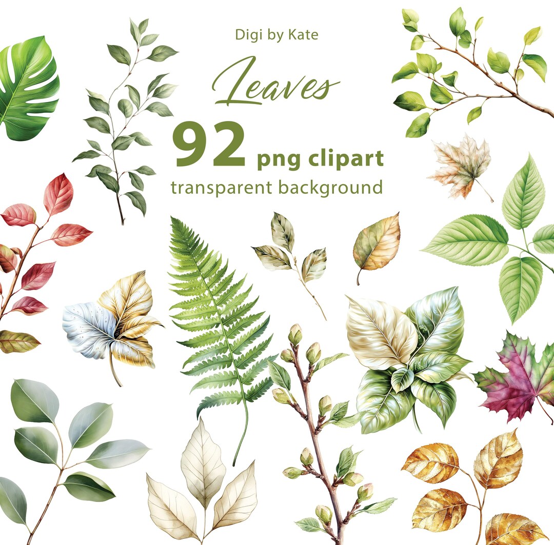 Leaves 92 PNG Clipart, Large Set With Leaves Elements on Transparent ...