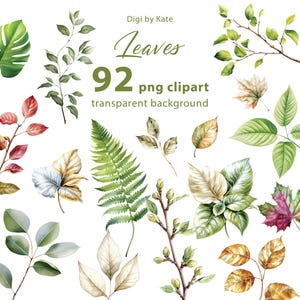 Foglie 92 PNG Clipart, grande set con elementi di foglie su sfondo trasparente