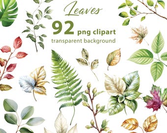 92 imágenes PNG de hojas, gran conjunto con elementos de hojas sobre fondo transparente