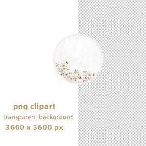 May include: A round, off-white png clipart image with a floral design. The image features a border of white roses and greenery. The text "png clipart", "transparent background", and "3600 x 3600 px" is displayed in a light brown color.