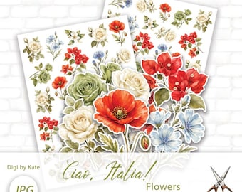 Ciao Italia Fussy Cut Flowers on 2 A4 Pages for Journaling and Scrapbooking