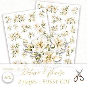Fussy Cut Beige Lilie Blume auf 2 A4 JPG Seiten für Journals und Scrapbooks, Junk Journal Print und Cut Elements