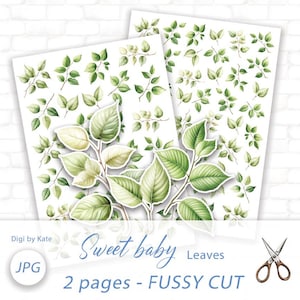 May include: Two sheets of paper featuring watercolor illustrations of green leaves and branches. The text "Sweet baby Leaves" is written in cursive. The image also includes the text "2 pages - FUSSY CUT" and the letters "JPG".