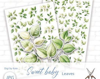 Green Leaves Fussy Cut on 2 A4 JPG Sheet in 8 different types