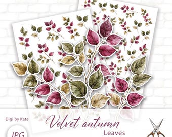 Velvet Autumn Leaves Fussy Cut on 2 A4 JPG Pages for Journaling and Scrapbooking