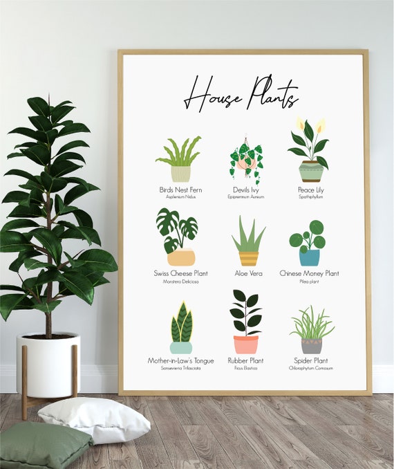 House Plant Poster House Plant Guide Botanical Wall Art - Etsy