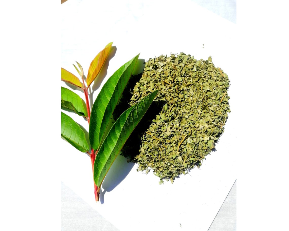 Organic Dried Guava Leaves and Soursop Leaves Powder Etsy