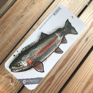 Rainbow Trout Decal -  UK