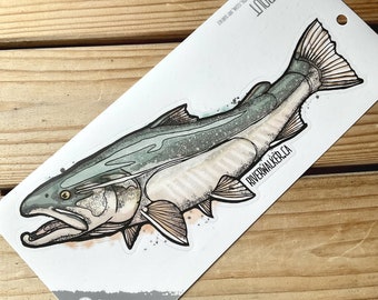Bull Trout - Trout Sicker - Fishing Decal - Fly Fishing - Fish Art