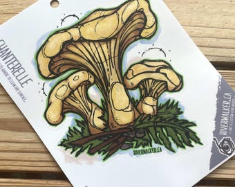 Chanterelle Mushroom Decal - Foraging - Fungi Art - Hand Illustrated