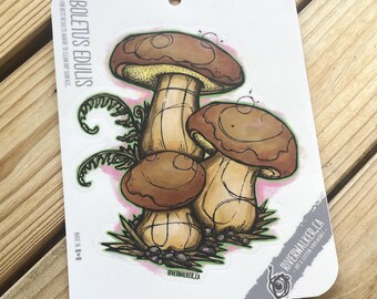 Boletus Mushroom Decal - Cepe- Porcini - Foraging - Fungi Art - Hand Illustrated