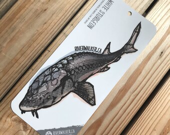 White Sturgeon - Fish Sicker - Fishing Decal - River Fishing - Fish Art