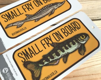 Kleine Fliegen Abziehbilder - Fisch Art - Angeln Aufkleber - Baby an Bord - Stör - Forelle - Lachs