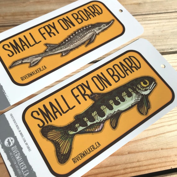Small Fly Decals Fish Art Fishing Sticker Baby on Board Sturgeon Trout  Salmon 