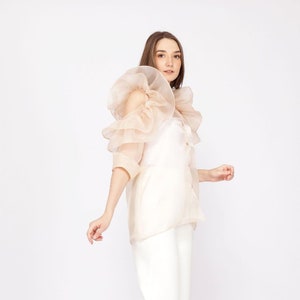 Ruffle Designer Organza Top, Elegant Fashion Glamour Top, Transparent ...