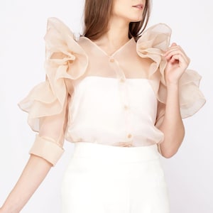 Ruffle Designer Organza Top, Elegant Fashion Glamour Top, Transparent ...