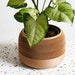 see more listings in the Single plant pots section