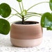 see more listings in the Single plant pots section