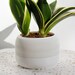 see more listings in the Single plant pots section