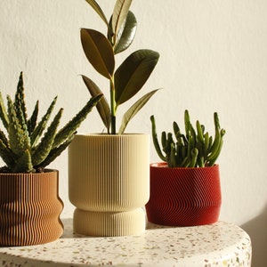 Set of 3 small 3D printed plant pots HOMER, MAYLA, ELIF in almond cream, wood & amarena red image 5