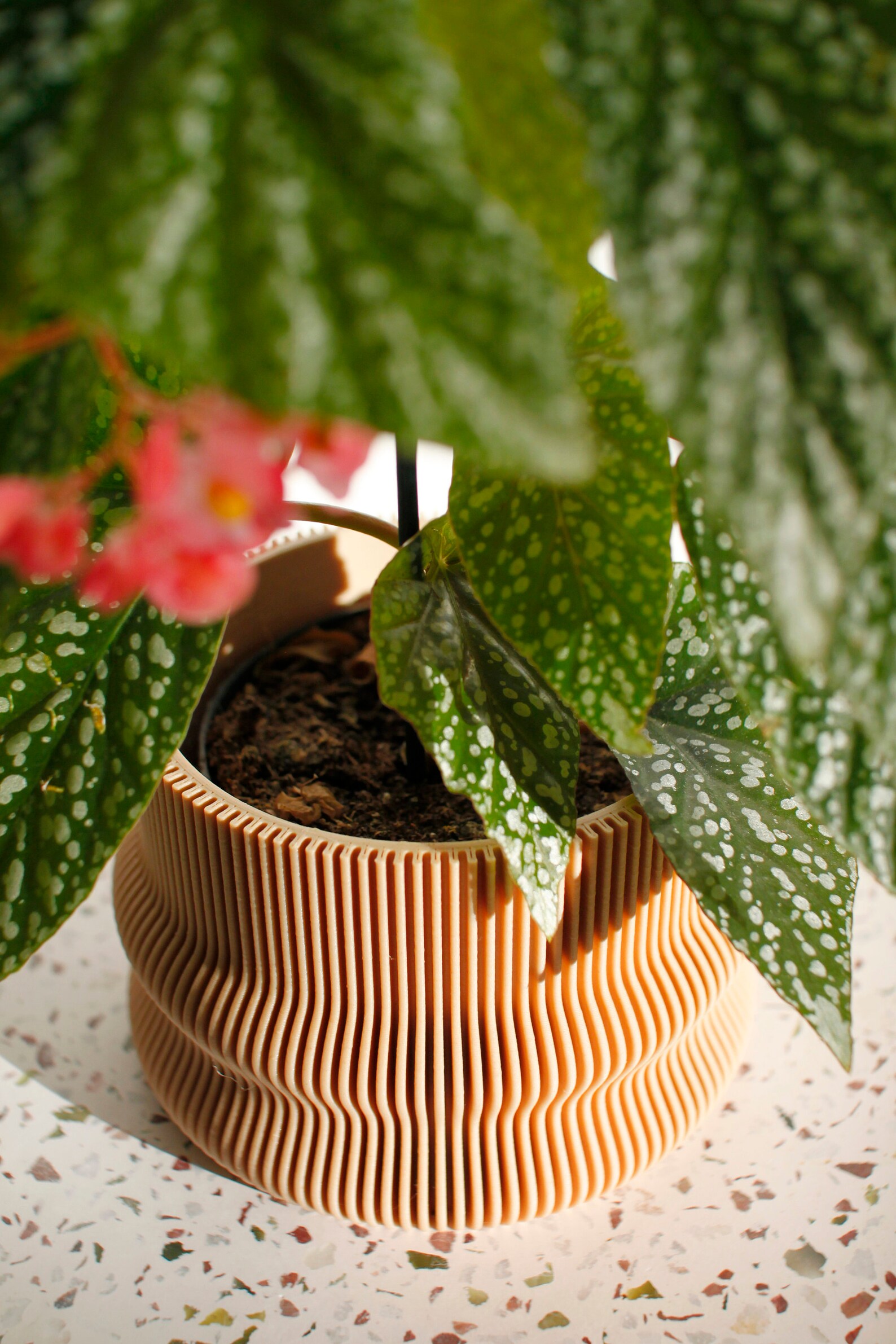Large Planter HOMER Großer Blumentopf Indoor Pflanztopf Etsy