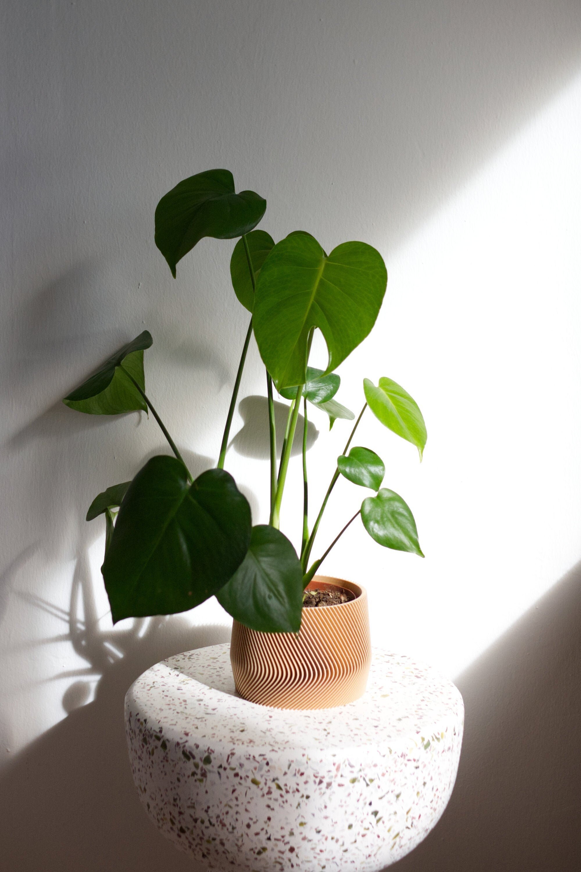 Large Planter MAYLA Großer Blumentopf Indoor Pflanztopf Etsy