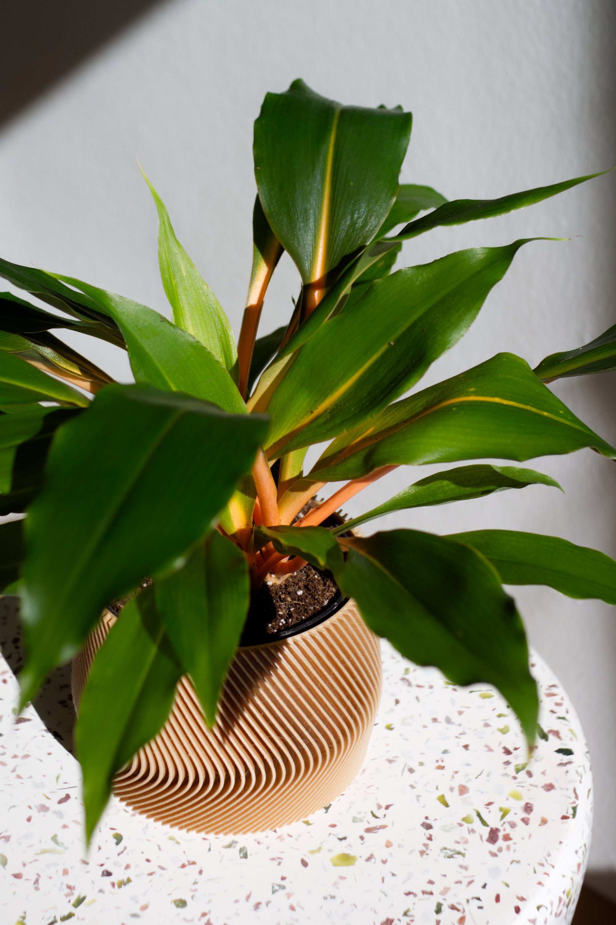 Large Planter MAYLA Großer Blumentopf Indoor Pflanztopf Etsy