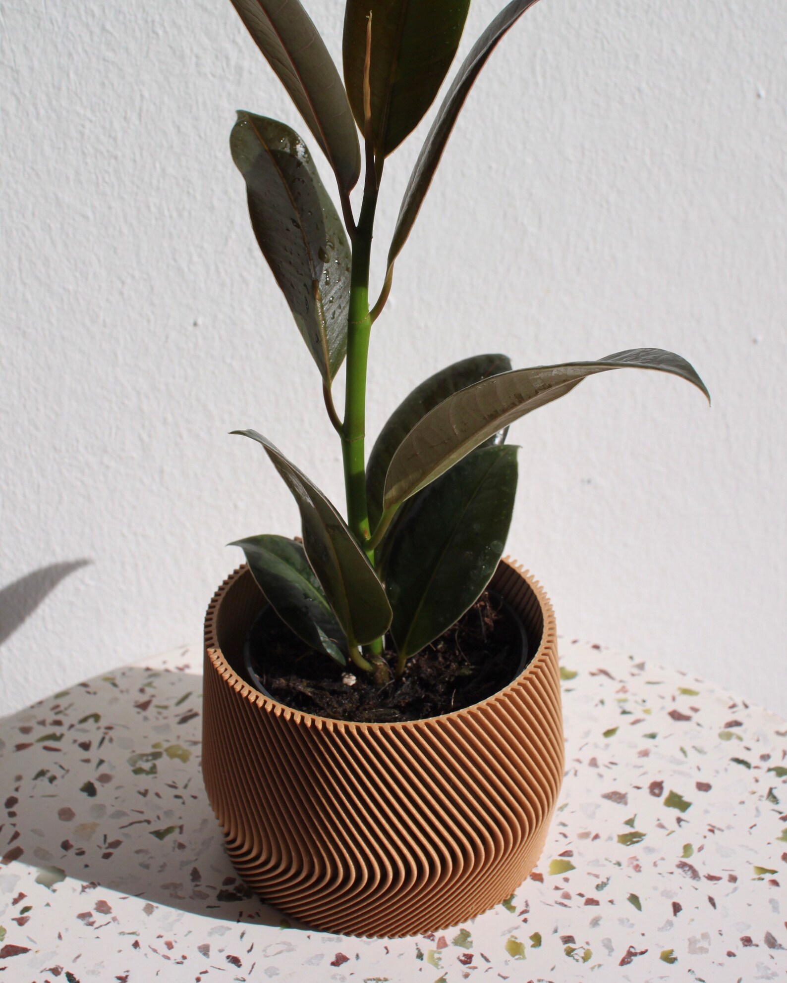 Grosser Blumentopf Indoor