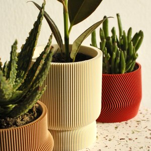 Set of 3 small 3D printed plant pots HOMER, MAYLA, ELIF in almond cream, wood & amarena red image 6