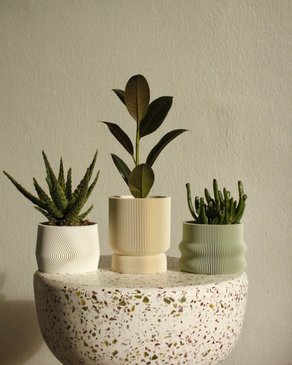  NOLITOY 3 Packs Stone Air Plant Pot Filler Potted