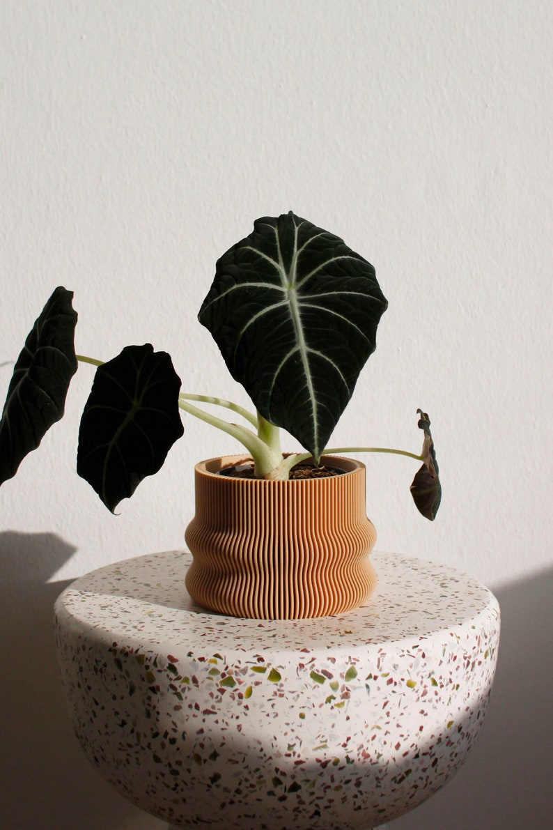 Large Planter HOMER Großer Blumentopf Indoor Pflanztopf Etsy