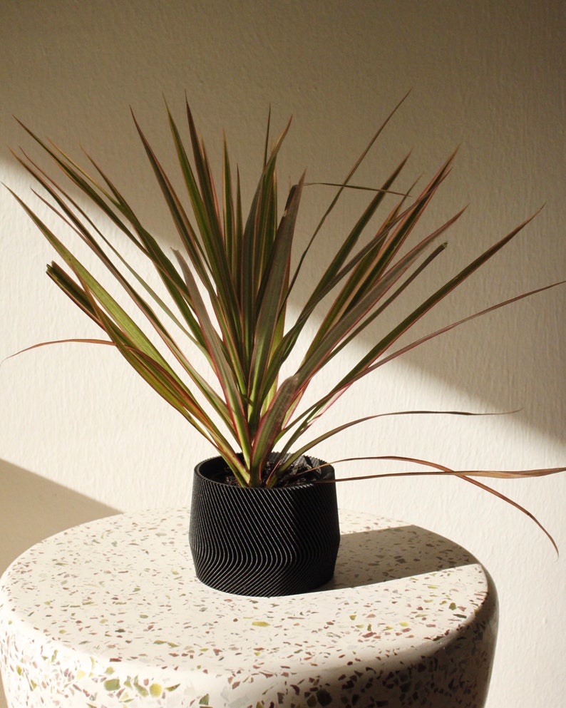 Large plant pot MAYLA 3D printed in black image 6