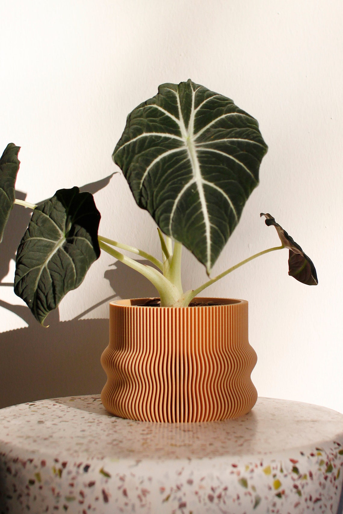 Large Planter HOMER Großer Blumentopf Indoor Pflanztopf Etsy