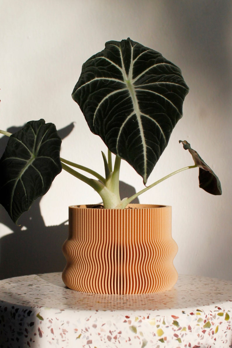 Large Planter HOMER Großer Blumentopf Indoor Pflanztopf Etsy