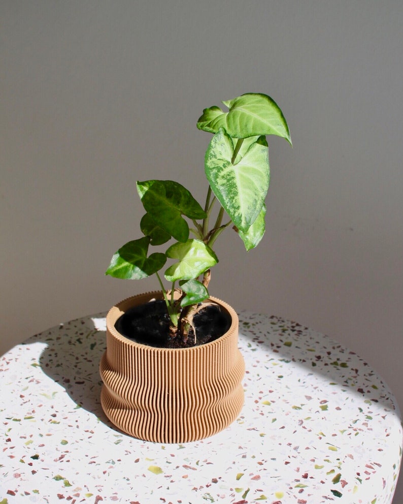 Large Planter HOMER Großer Blumentopf Indoor Pflanztopf Etsy UK
