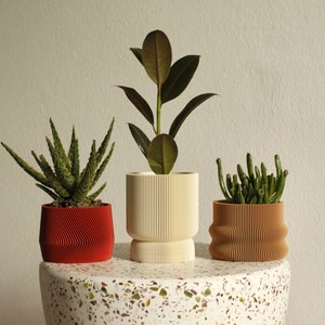 Set of 3 small 3D printed plant pots HOMER, MAYLA, ELIF in almond cream, wood & amarena red image 7