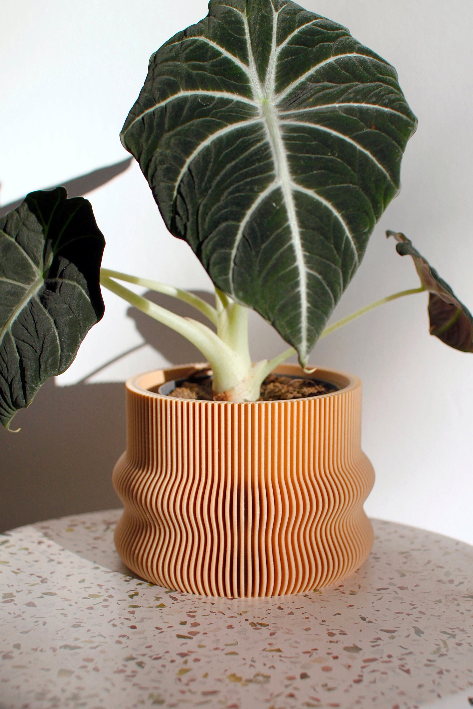 Large Planter HOMER Großer Blumentopf Indoor Pflanztopf Etsy
