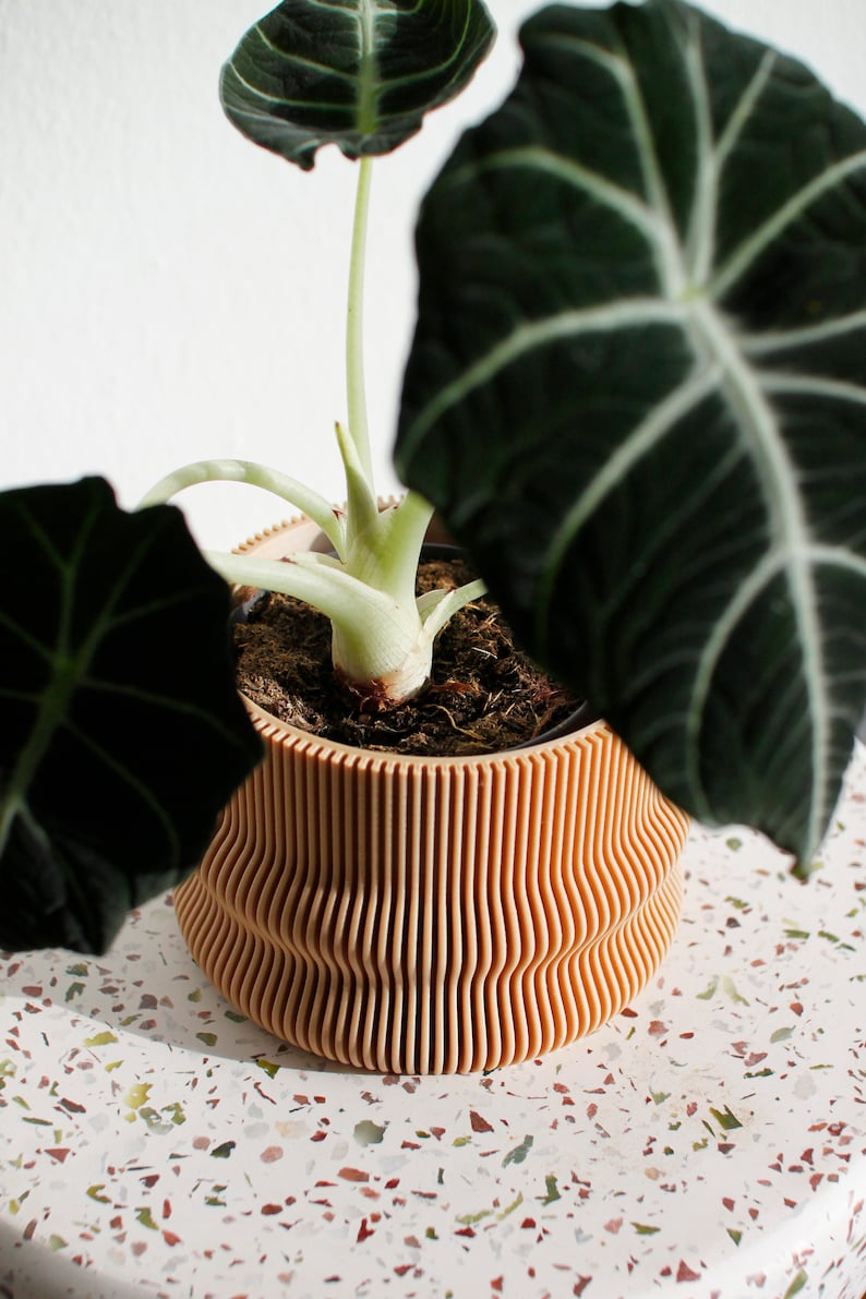 Large Planter HOMER Großer Blumentopf Indoor Pflanztopf Etsy