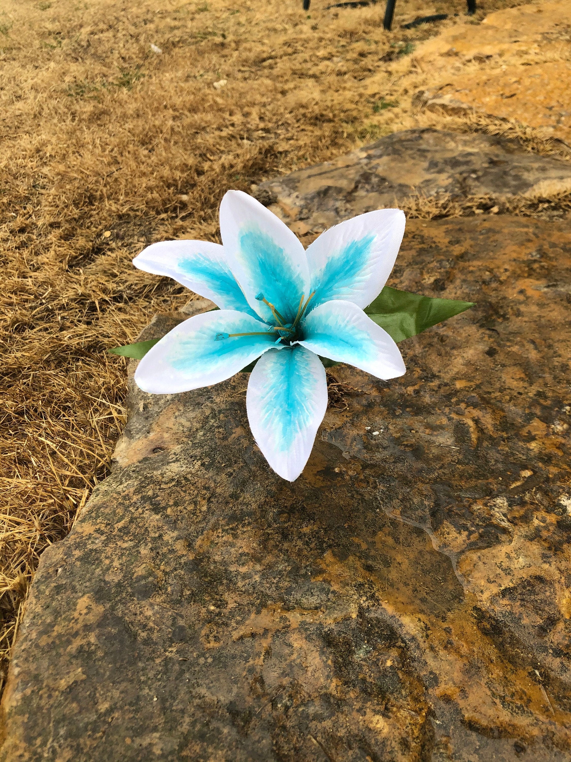 Silent Princess Etsy